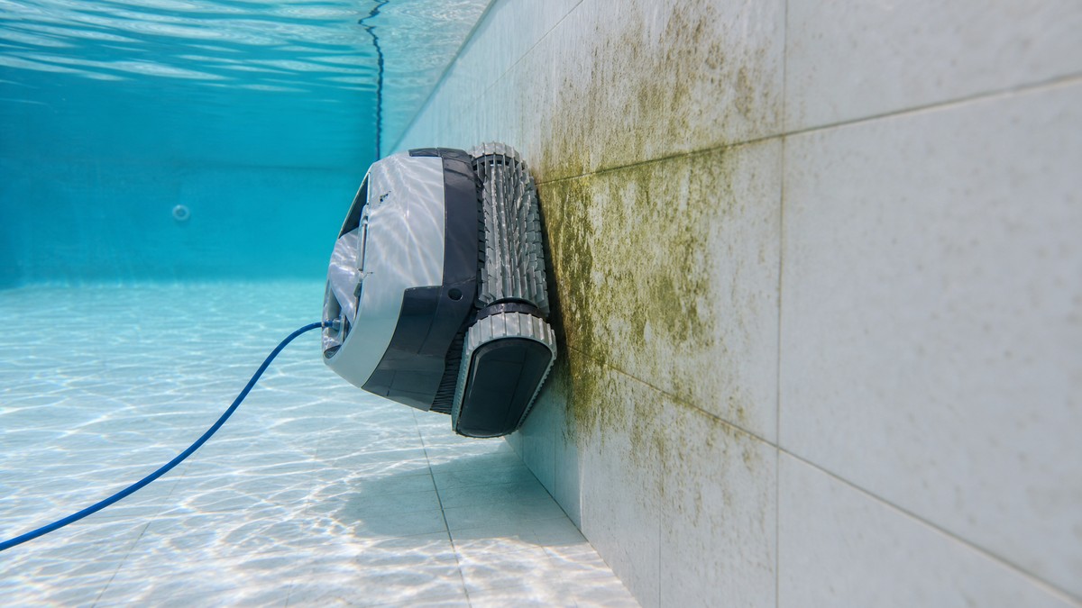 Robot limpiafondos patinando en la pared de una piscina con biofilm verdoso visible