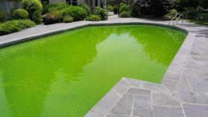 Cómo recuperar una piscina con agua verde sin vaciarla: el protocolo de 48 h que sí funciona