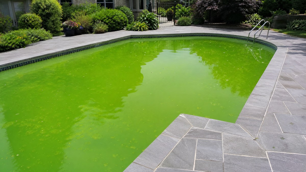 Cómo recuperar una piscina con agua verde sin vaciarla: el protocolo de 48 h que sí funciona